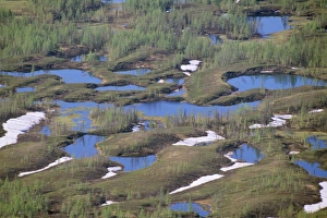 RUSSIA - semi-tundra. Lakes and melting snow, aerial RUSSIA - semi-tundra. Lakes and melting snow, aerial