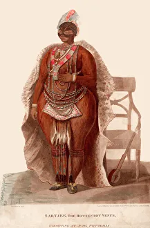 Saartje Baartman, also known as The Hottentot Venus Saartje Baartman, also known as The Hottentot Venus