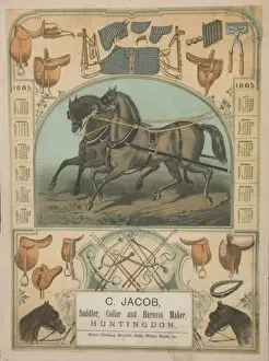 Saddler and Harness Maker Print, Huntingdon 1900s
