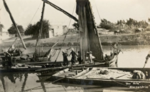 Sailing boats on the Nile in Alexandria, Egypt Sailing boats on the Nile in Alexandria, Egypt