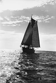 Sailing Ships Prints: Sailing Ship