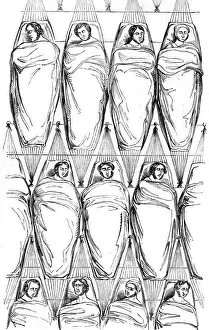 Naval Transport History Prints: Sailors in Hammocks