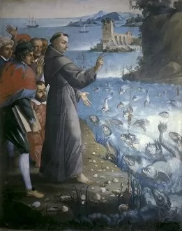 Picture Collection: Saint Anthony of Padua preaching to the fishes