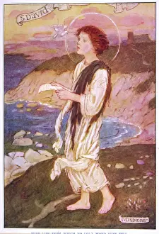 Prints of SAINT DAVID (DEWI SANT). Patron saint of Wales who founded a monastery in the area of Pembrokeshire now named after him. His feast day is 1st March Related Prints: Print of Saint David, Patron Saint of Wales