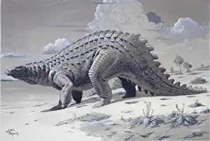 Herbivore Dinosaurs Prints: Scelidosaurus