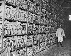 Scene inside a bread store, Western Front, WW1 Scene inside a bread store, Western Front, WW1