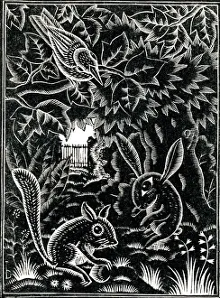 Wildlife Scene Prints: A scene of nature
