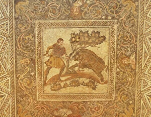 Boar Collection: Scene of wild boar hunt, mosaic uncovered in Merida (Augusta