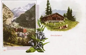 Dramatic Mountain Landscapes Prints: Scenes around Grindelwald