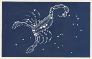 Ancient Greek Constellations Prints: Scorpio