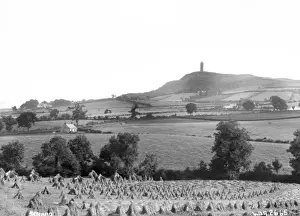 Scrabo Tower Print - Northern Ireland, circa early 1900s