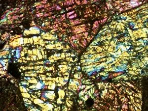 Chassigny Meteorite Thin Section Print