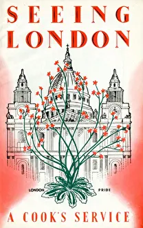 Thomas Cook Brochure Cover Prints: Seeing London