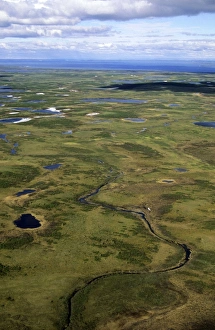 Semi-tundra, aerial view from a helicopter Semi-tundra, aerial view from a helicopter