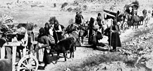 Serbian Refugees; First World War, 1916 Serbian Refugees; First World War, 1916