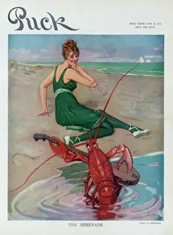 Vintage Cartoon Art Prints: The serenade
