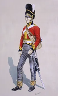 Sergeant - Royal North British Dragoons Sergeant - Royal North British Dragoons