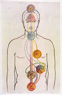 Eastern Spirituality Prints: Seven Chakras