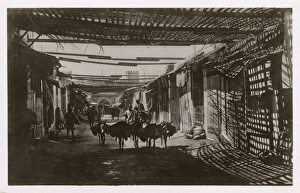Shaded bazaar in the Souk, Fez (Fes), Morocco Shaded bazaar in the Souk, Fez (Fes), Morocco