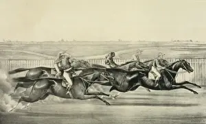 American Horse Racing Prints: A sharp pace from start to finish