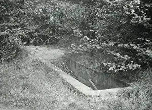 Kent Local History Prints: Sheep dip