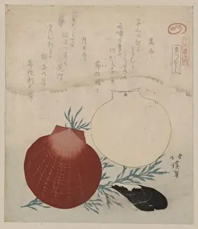 Shellfish, Late 19th Century Aquatint Print