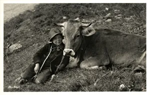Shepherd Boy and favourite cow - Idyllic Swiss Alpine Scene Shepherd Boy and favourite cow - Idyllic Swiss Alpine Scene