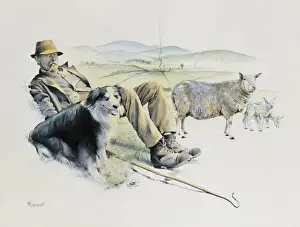 Rural Farming Scenes Prints: Shepherd at rest