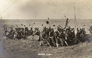 The Shilluk Tribe - Sudan, Africa The Shilluk Tribe - Sudan, Africa