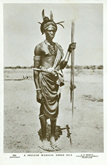 A Shilluk Warrior - Upper Nile, Sudan, Africa A Shilluk Warrior - Upper Nile, Sudan, Africa