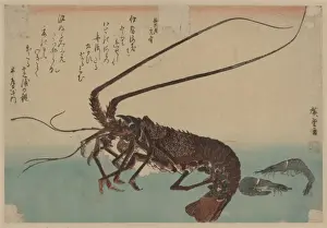 Shrimp and Lobster Print, circa 1835-1844