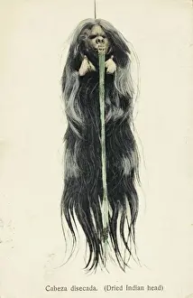 Brazil Prints: Brazilian Shrunken Head - A Tribal Trophy Print