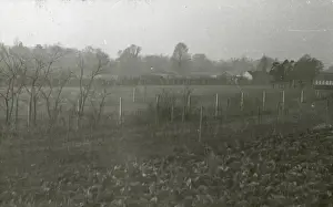 Prints of Sidcup Hill - Black and white lantern slide. scrubland, fence, trees. Part of Box 399. Boswell Collection. Date: circa 1900 Bexley Prints: Sidcup Hill circa 1900 Black and White Print