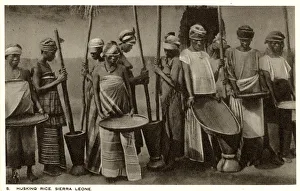 Sierra Leone, West Africa - Husking of Rice pestle & mortar Sierra Leone, West Africa - Husking of Rice pestle & mortar
