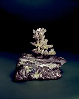 North American Minerals Prints: Silver on Copper