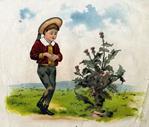 19th Century Print of Simple Simon with Thistle