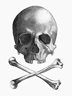 Mary Evans Prints Online: Skull and Crossbones Print