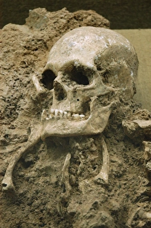 Skull from Escoural Cave. Neoli?tco Middle-end. Archaeology Skull from Escoural Cave. Neoli?tco Middle-end. Archaeology