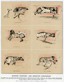 Sleeping Partners and Dissolved Partnership, Cecil Aldin Sleeping Partners and Dissolved Partnership, Cecil Aldin