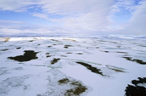 Snow melts in arctic tundra spring. Aerial view Snow melts in arctic tundra spring. Aerial view