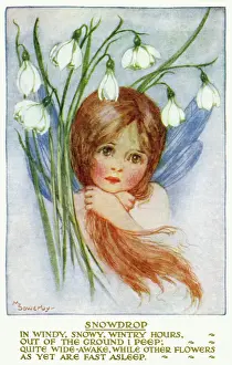 Mary Evans Prints Online Sale Prints: Snowdrop