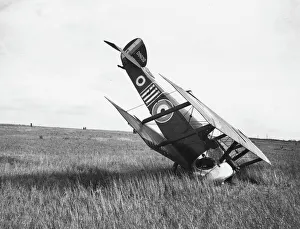 Sopwith Camel biplane in forced landing, France, WW1 Sopwith Camel biplane in forced landing, France, WW1