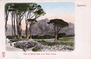 South Africa - Cape Town - View of Devils Peak South Africa - Cape Town - View of Devils Peak