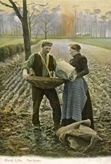 Farming In Britain Prints: SOWING