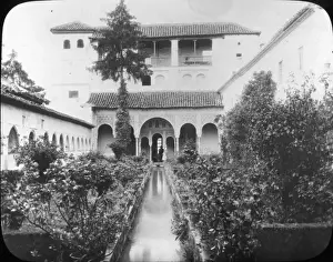 Generalife Palace Prints: Spain - The Generalife