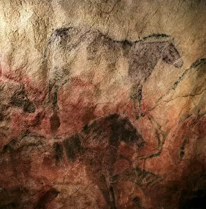 Rhinoceros Collection: SPAIN. Ribadesella. Tito Bustillo Cave. Shaggy