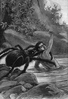 Spider Eats Man Print, A Large Spider Preys on a Human