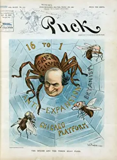 William Jennings Bryan Cartoon Prints: The spider and the three silly flies