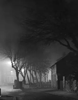 Natural Phenomena In Art Prints: Spooky Trees
