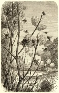 Spring Prints: Bees in Springtime Print - Pussy Willow by a River